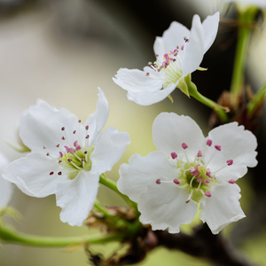 欧美性爱综合网
